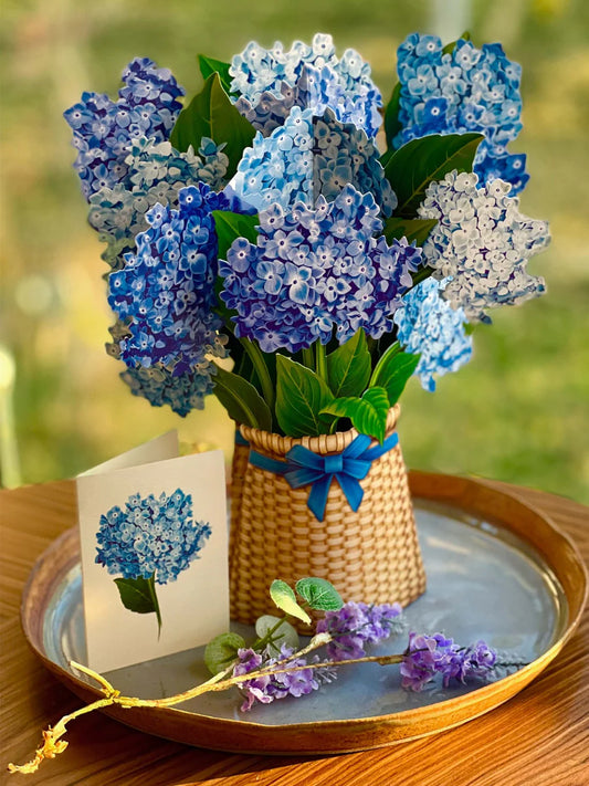 Hortensias de Nantucket